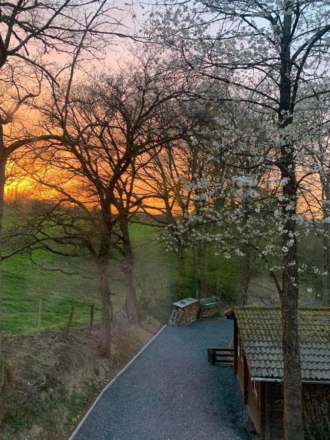 Gites Douillets A L'Oree Des Bois. Houyet Bagian luar foto